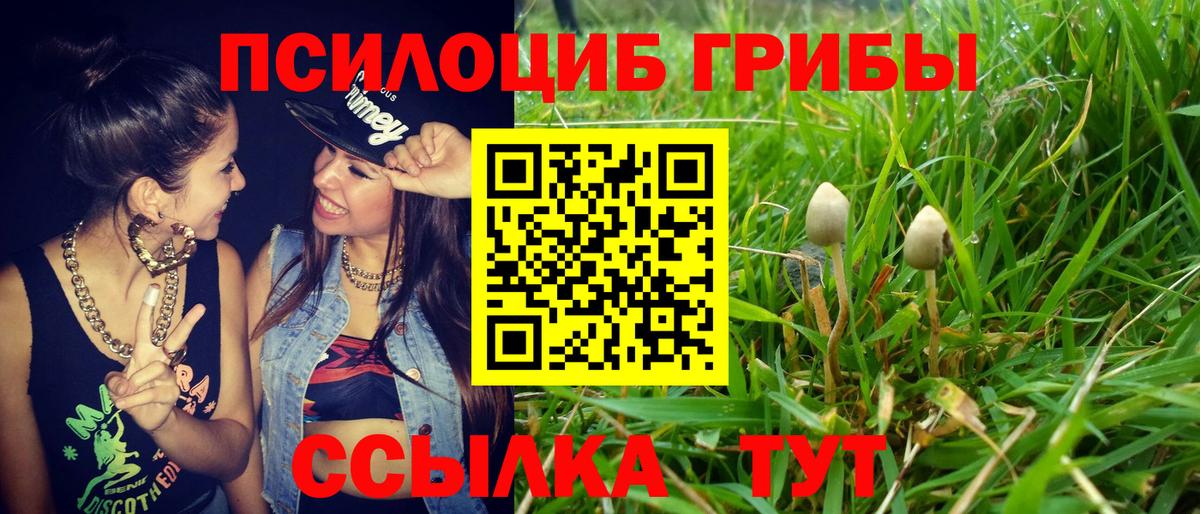 Галлюциногенные грибы прущие грибы  Вход с VPN  Изобильный 
