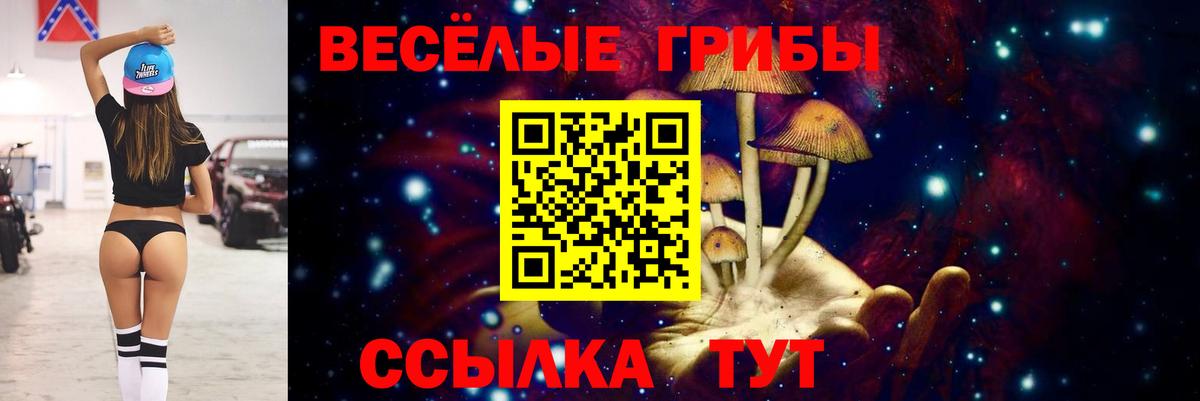 Галлюциногенные грибы Psilocybe Изобильный