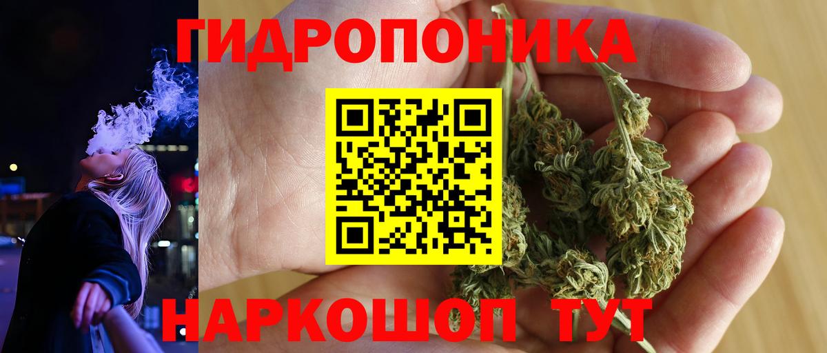 Конопля марихуана  Конопля ГИДРОПОН  Вход с VPN  Изобильный 